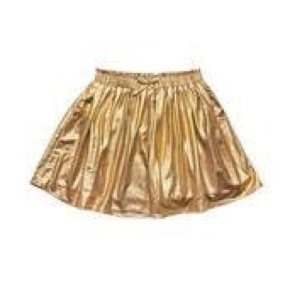 Pink Chicken Luna Lame Skirt